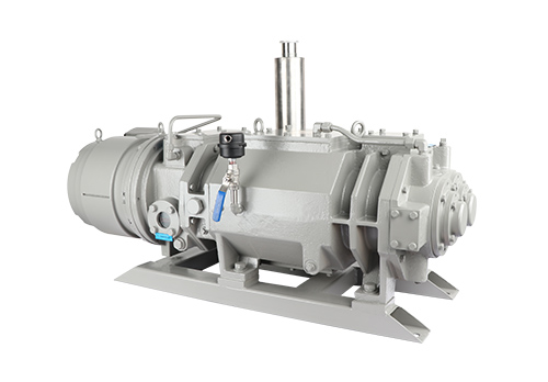 RKD0600干式螺桿真空泵